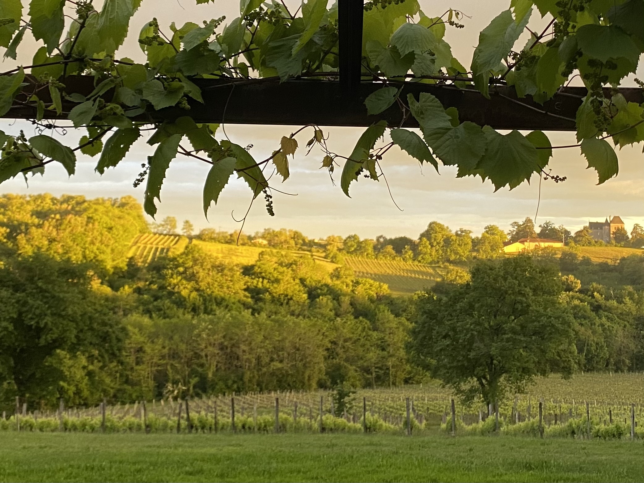 Clos Sainte Anne — Printemps
