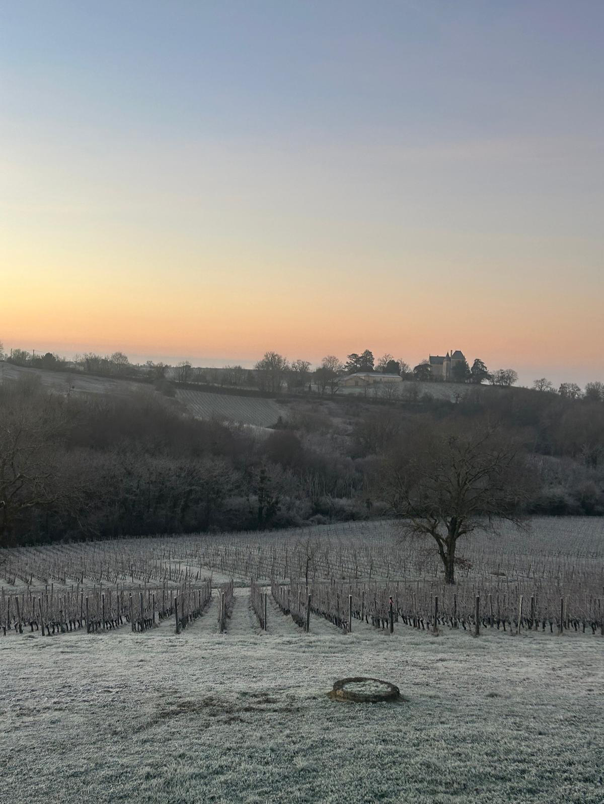 Clos Sainte Anne — Hiver